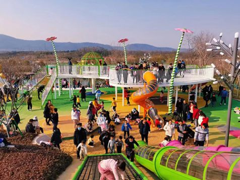 Park and Resorts Amusement Equipment